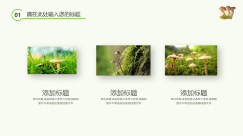 绿色植物野生菌类生长动态ppt