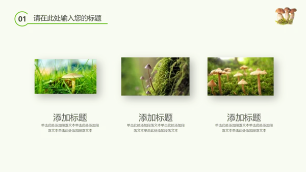 绿色植物野生菌类生长动态ppt