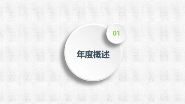 项目评估工作总结布纹质感通用PPT模板