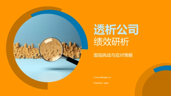 透析公司绩效研析