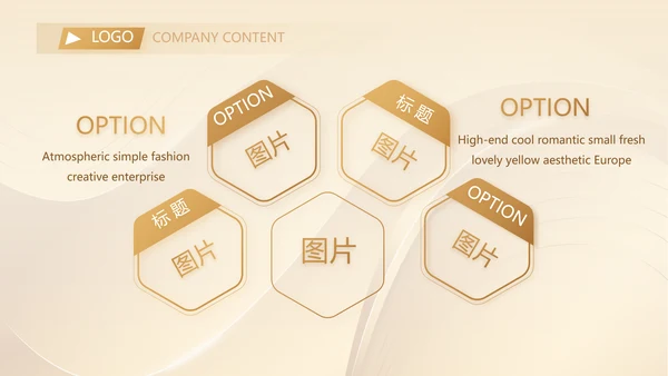 金色高档金融投资理财行业通用PPT动态模板