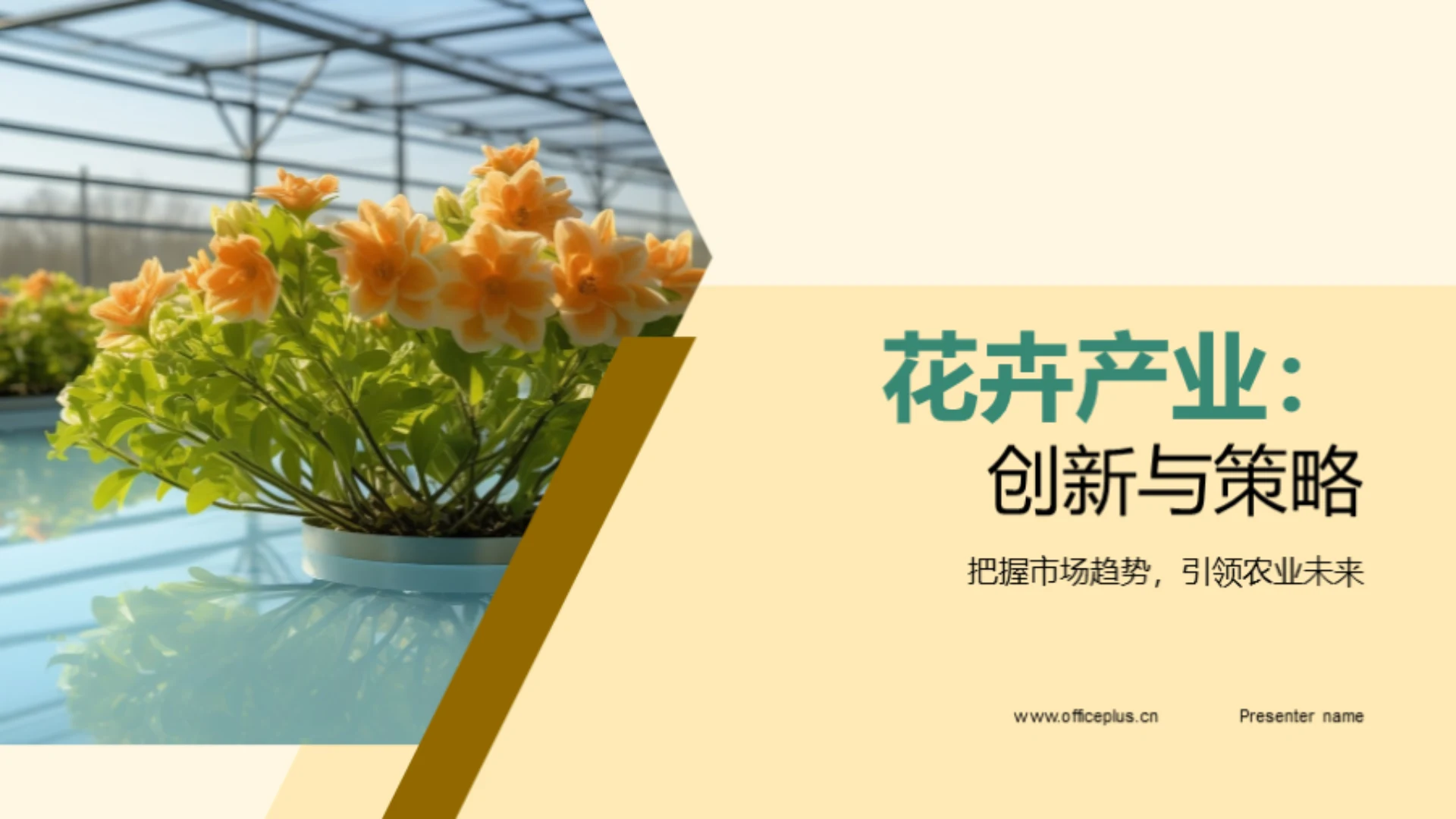 花卉产业:创新与策略