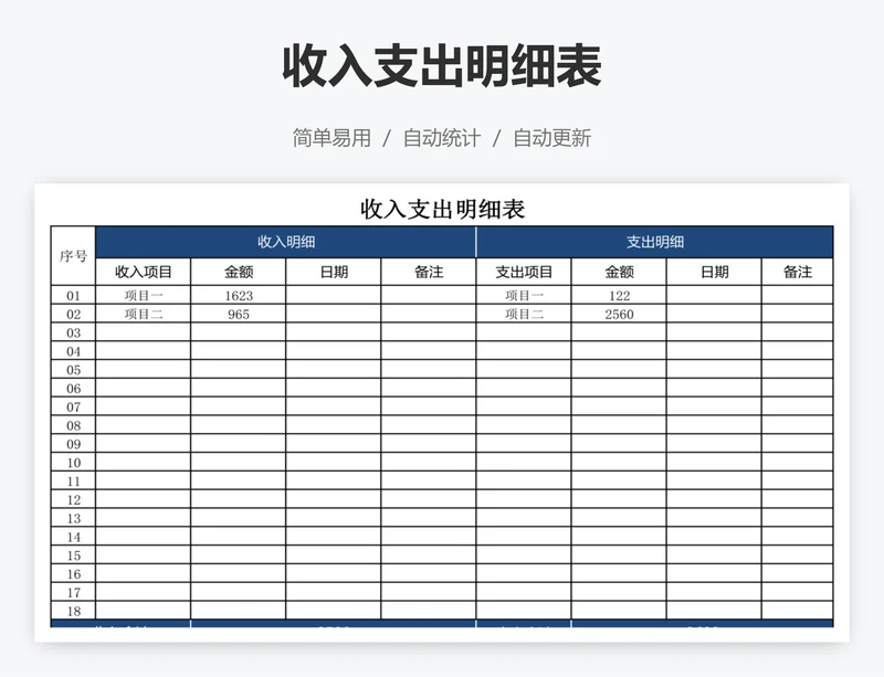 收入支出明细表