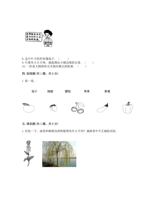 教科版一年级上册科学期末测试卷精品（完整版）.docx