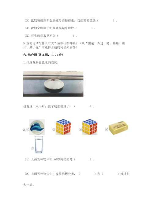 教科版一年级下册科学期末测试卷【综合卷】.docx