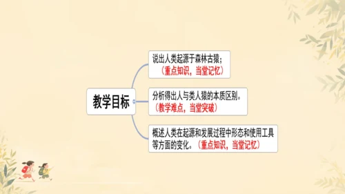 初中生物学人教版（新课程标准）七年级下册4.1.1 人的起源和发展课件(共18张PPT)