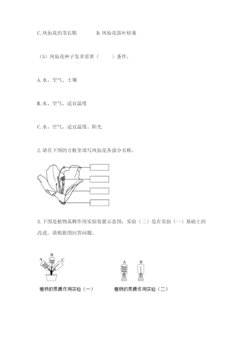 科学四年级下册第一单元植物的生长变化测试卷（考点梳理）.docx