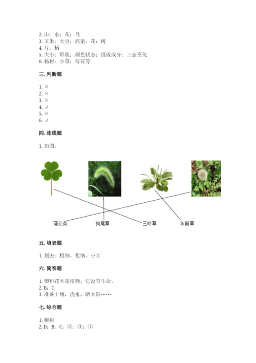 教科版科学一年级上册第一单元《植物》测试卷带答案（模拟题）.docx