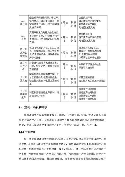 13袜子清洁生产审核报告