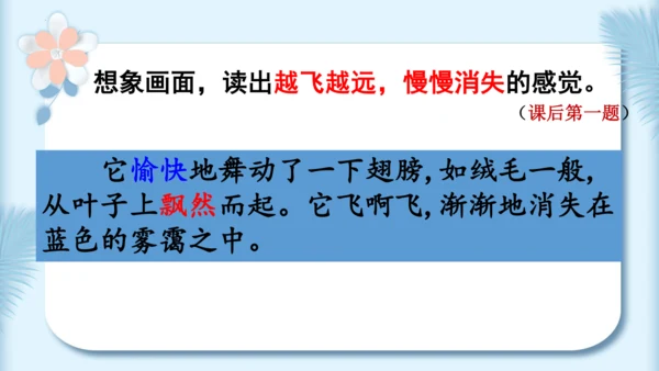 22.小毛虫（第二课时）教学课件