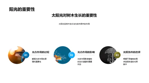 科学植树实践探索