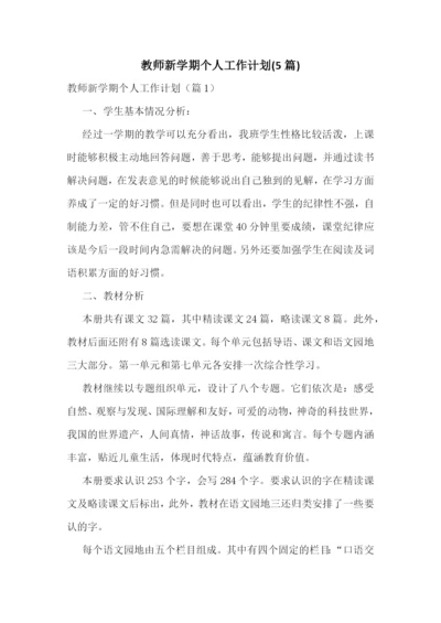 教师新学期个人工作计划(5篇).docx