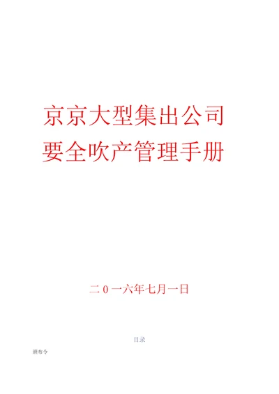 某某大型集团公司安全生产管理手册