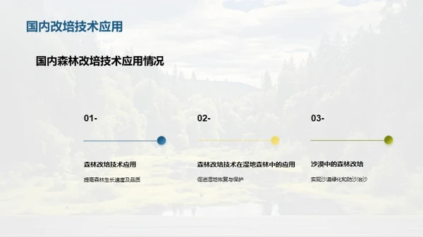 森林改培：新绿未来