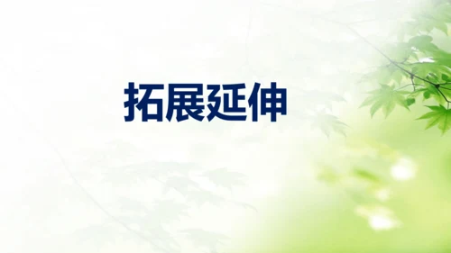 部编版九下第三单元名著阅读《儒林外史》同步课件(共114张PPT)