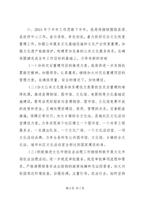 乡镇文新广局上半年工作总结及下半年工作安排.docx