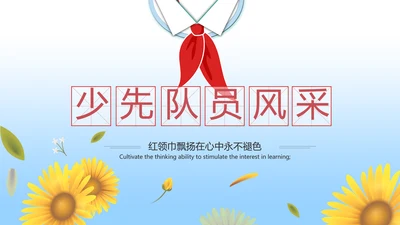少先队员风采展示工作总结汇报PPT