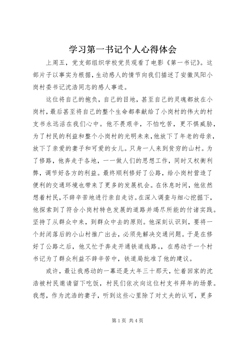 学习第一书记个人心得体会.docx