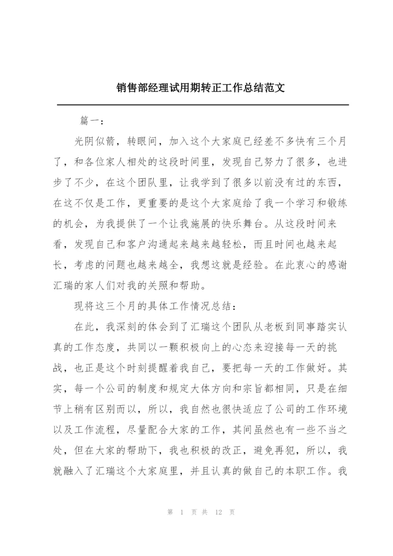 销售部经理试用期转正工作总结范文.docx