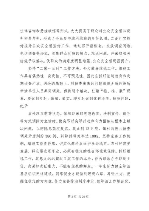 乡镇综治办专职副主任述职述廉报告.docx