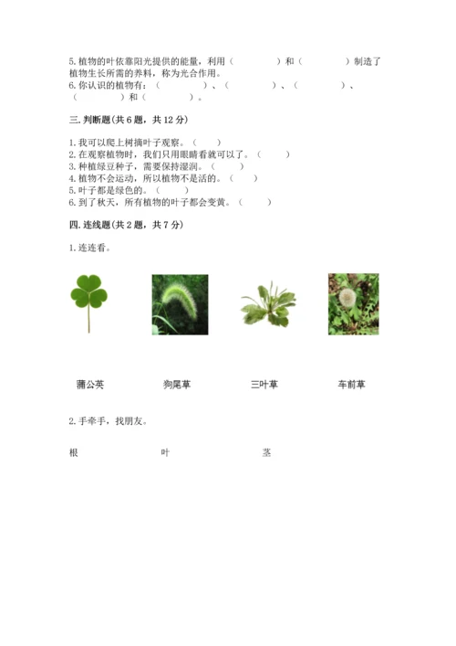 教科版科学一年级上册第一单元《植物》测试卷（突破训练）.docx