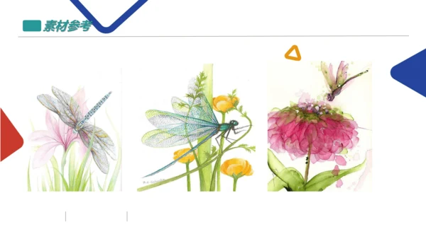 蜻蜓飞飞