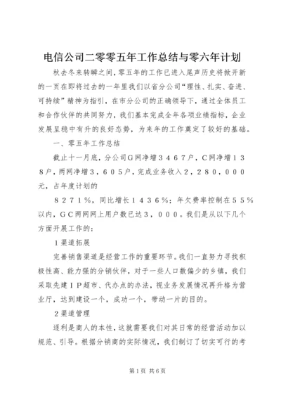 电信公司二零零五年工作总结与零六年计划 (9).docx