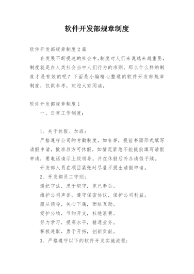 软件开发部规章制度.docx