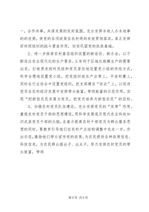 村工作计划及思路.docx