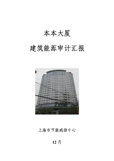 本本大厦能源审计综合报告.docx