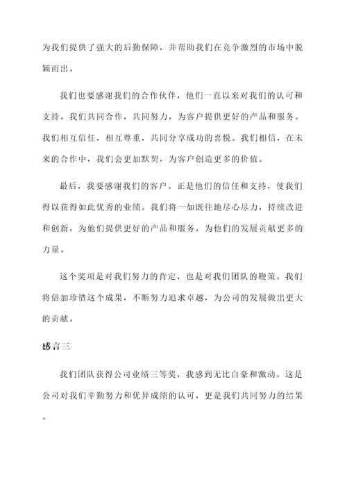 公司业绩获奖三等奖的感言