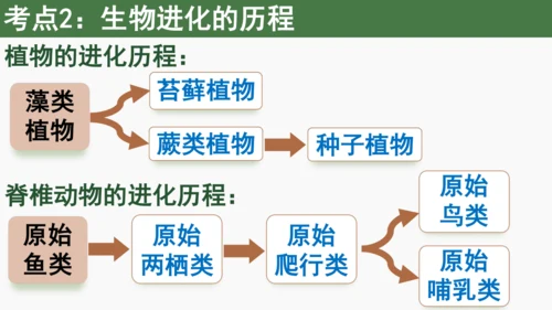 八下 第七单元复习课件(共58张PPT)