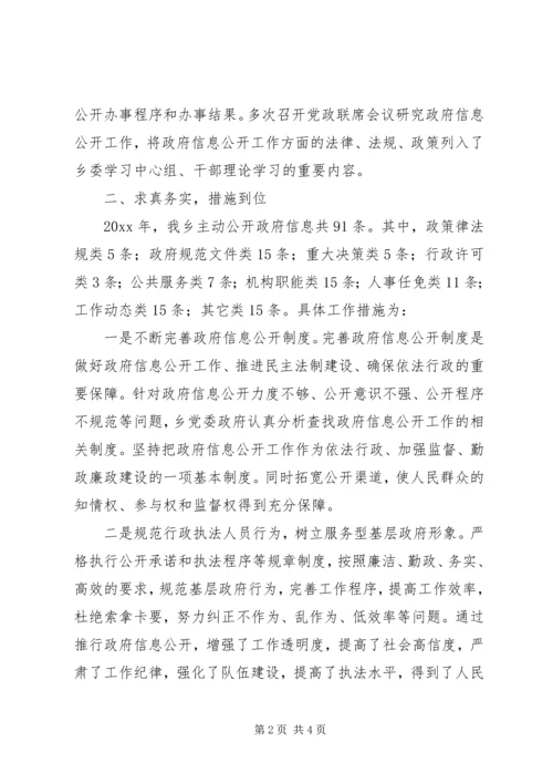 乡镇政府信息公开工作总结_1.docx