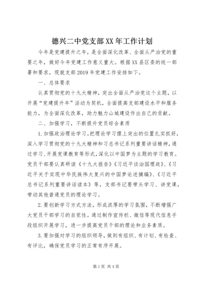 德兴二中党支部XX年工作计划.docx