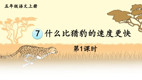 7 什么比猎豹的速度更快 第一课时 课件