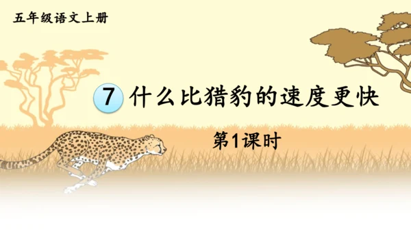 7 什么比猎豹的速度更快 第一课时 课件