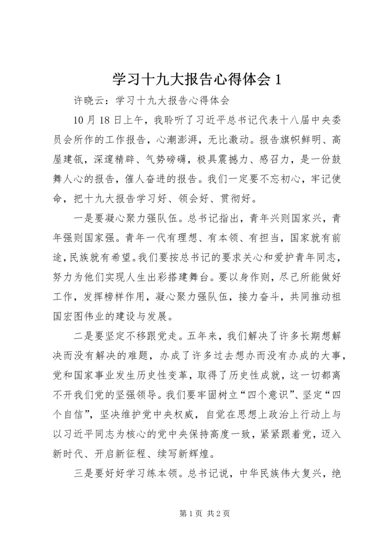 学习十九大报告心得体会1 (4).docx