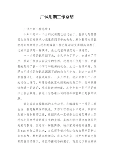 厂试用期工作总结.docx