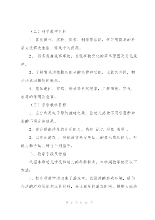 幼儿大班下学期教学计划集合11篇.docx