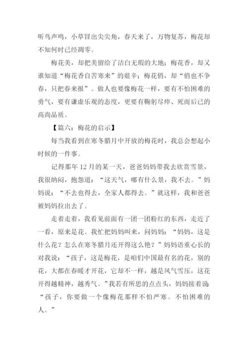 梅花的启示作文.docx
