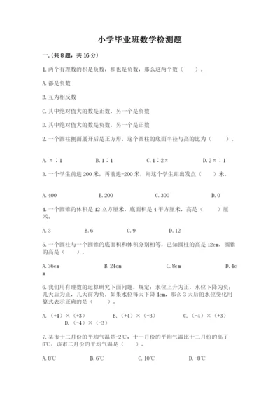 小学毕业班数学检测题精品【易错题】.docx