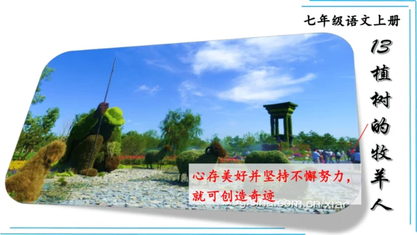 七上语文期中期末复习2_3词语运用每课晨读 课件(共47张PPT)