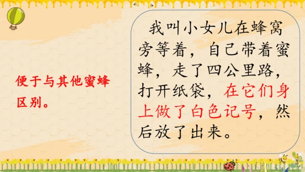 14《蜜蜂》课件