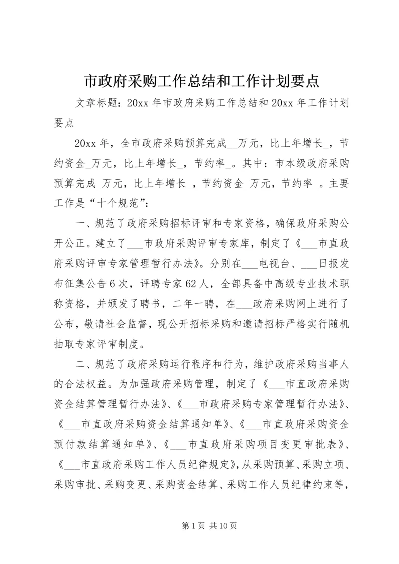 市政府采购工作总结和工作计划要点.docx