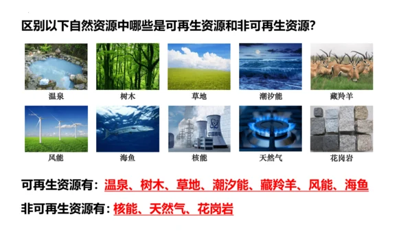 3.1 自然资源的基本特征（课件38张）-人教版八年级地理上册