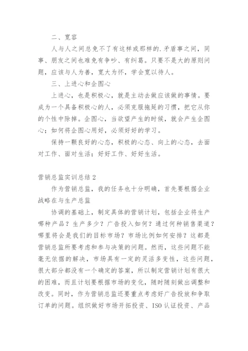 营销总监实训总结.docx