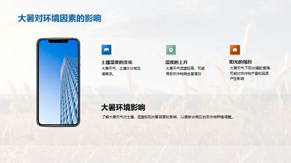 应对大暑 农业攻略