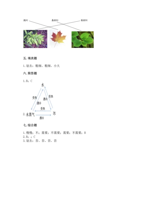 教科版科学一年级上册第一单元《植物》测试卷【基础题】.docx