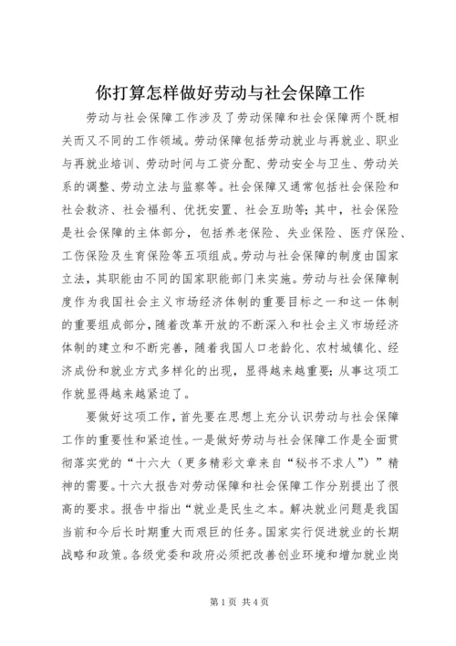 你打算怎样做好劳动与社会保障工作.docx