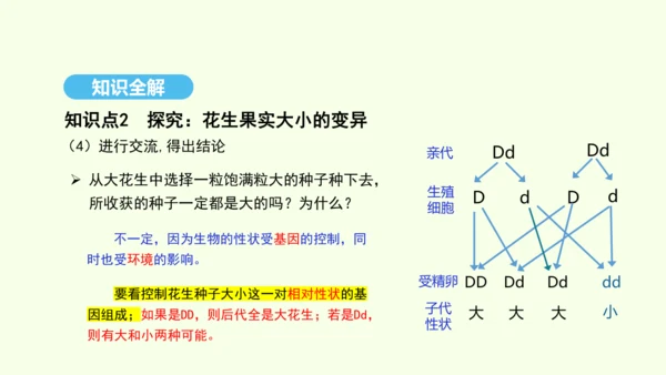 7.2.5生物的变异课件-人教版生物八年级下册(共28张PPT)